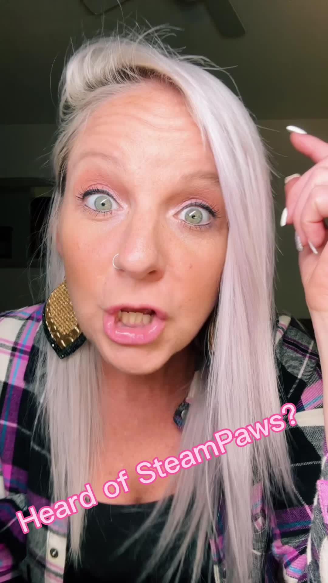 ÅngBorsten 3-in-1 — Professionell Pälsvård Hemma