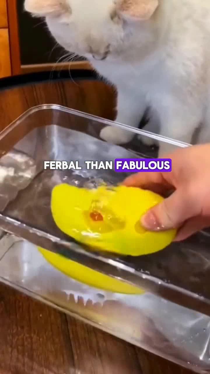 ÅngBorsten Premium — Professionell Pälsvård Hemma